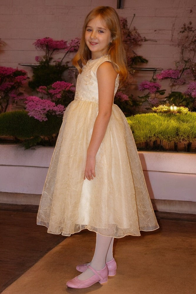 Silk party dress with a fluffy skirt for children