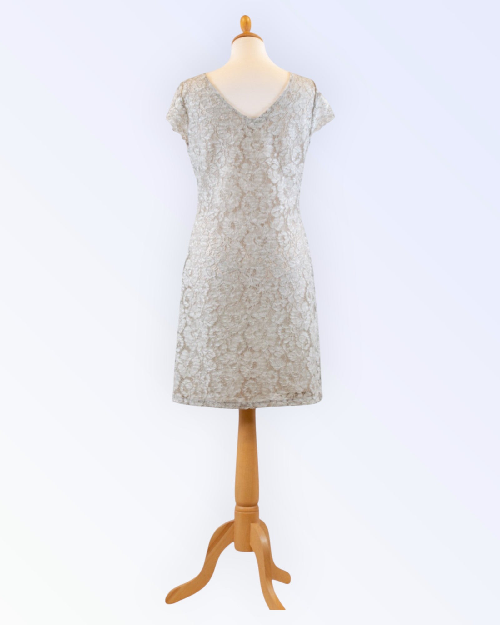 Azay Collection light gray lace dress
