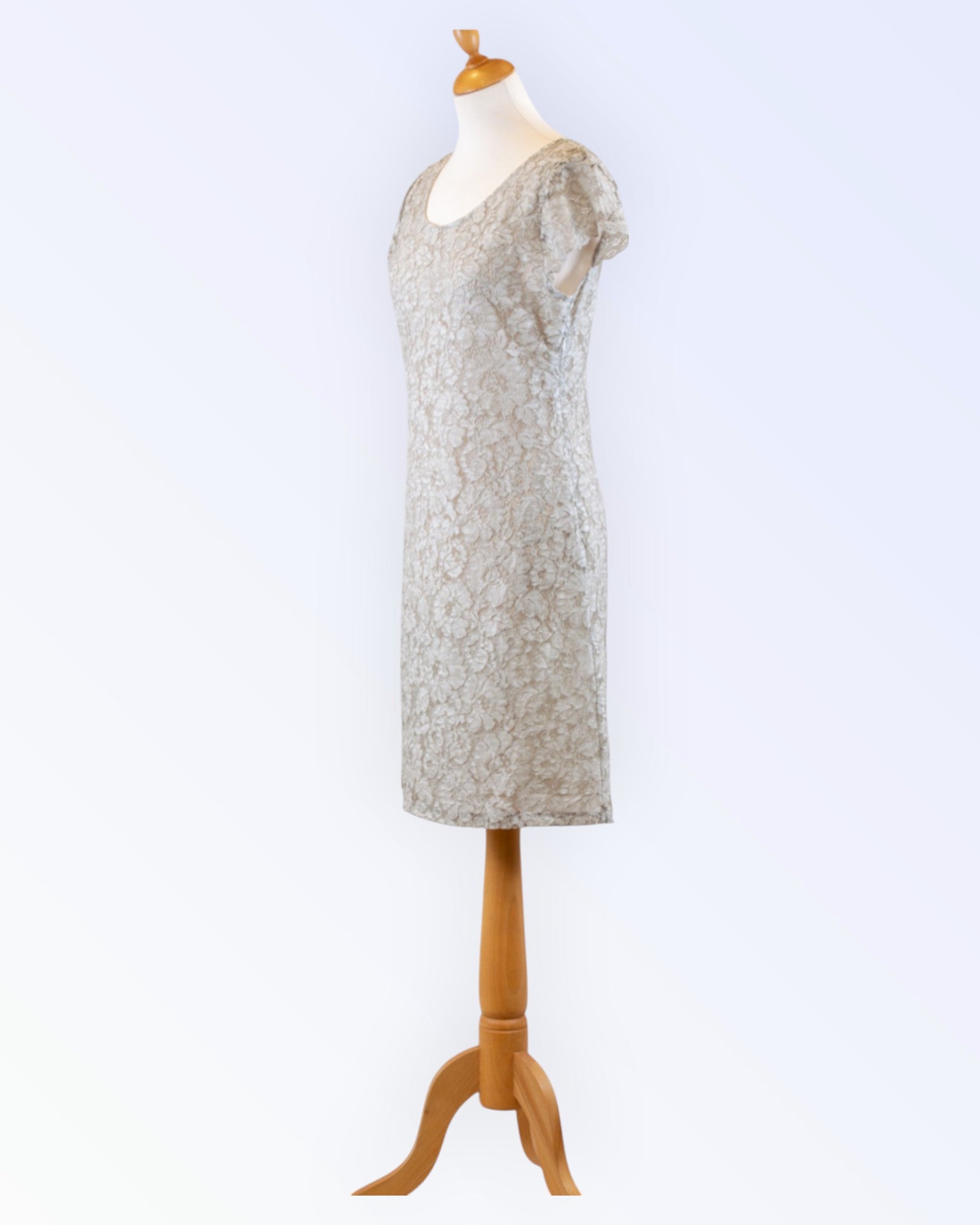 Azay Collection light gray lace dress