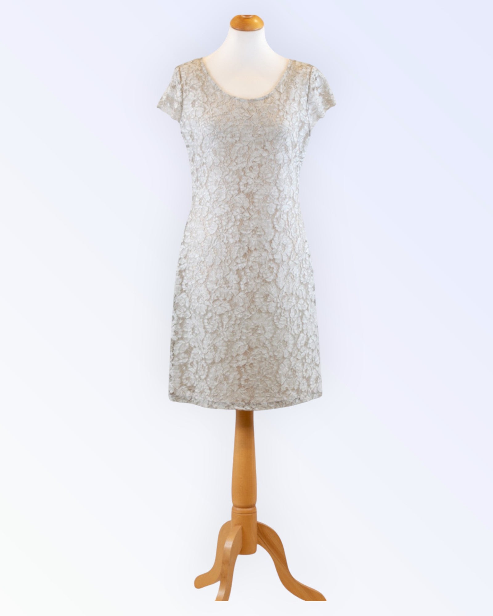 Azay Collection light gray lace dress