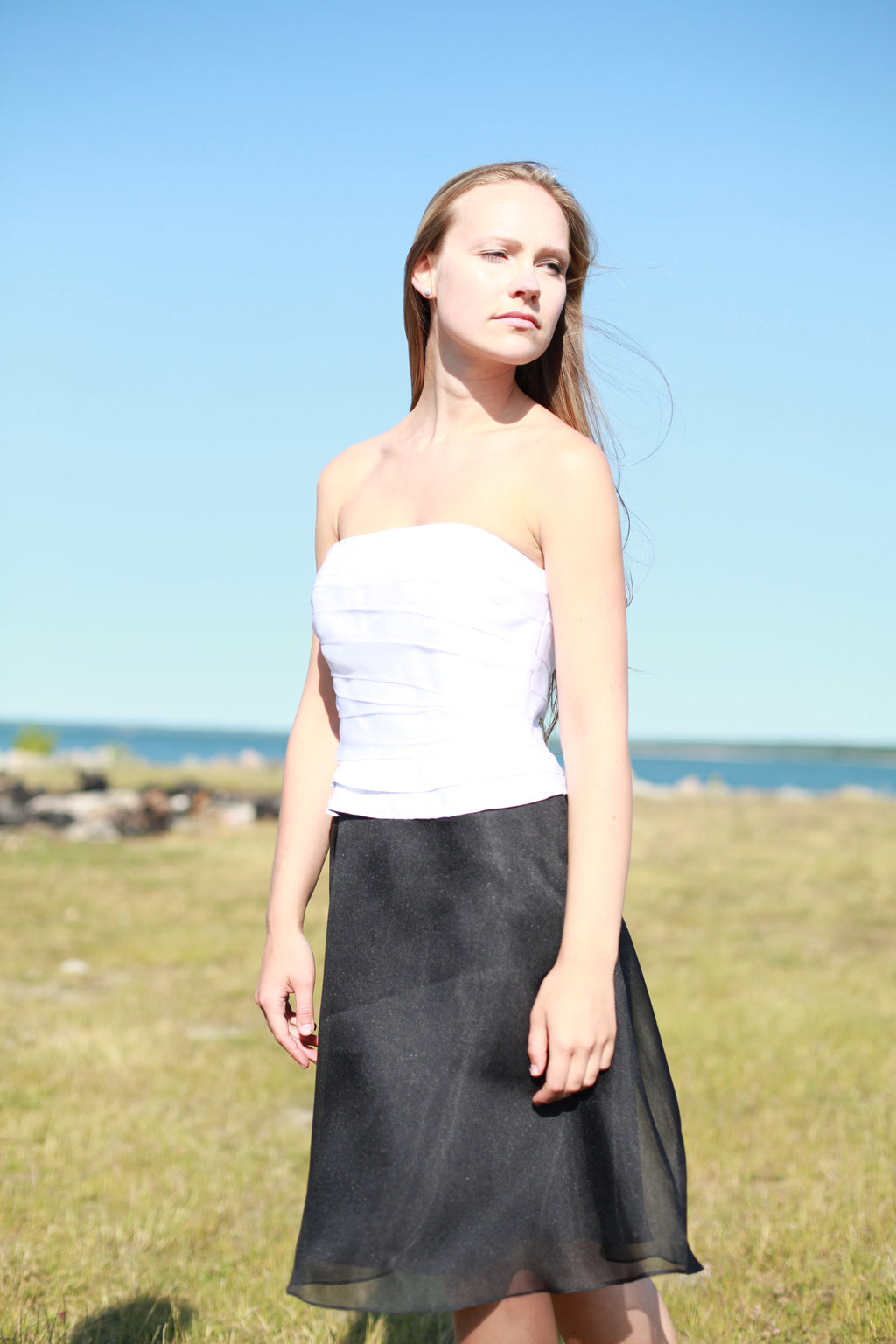 White House Black Market Party Dress