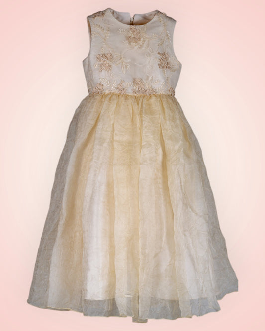 Silk party dress with a fluffy skirt for children