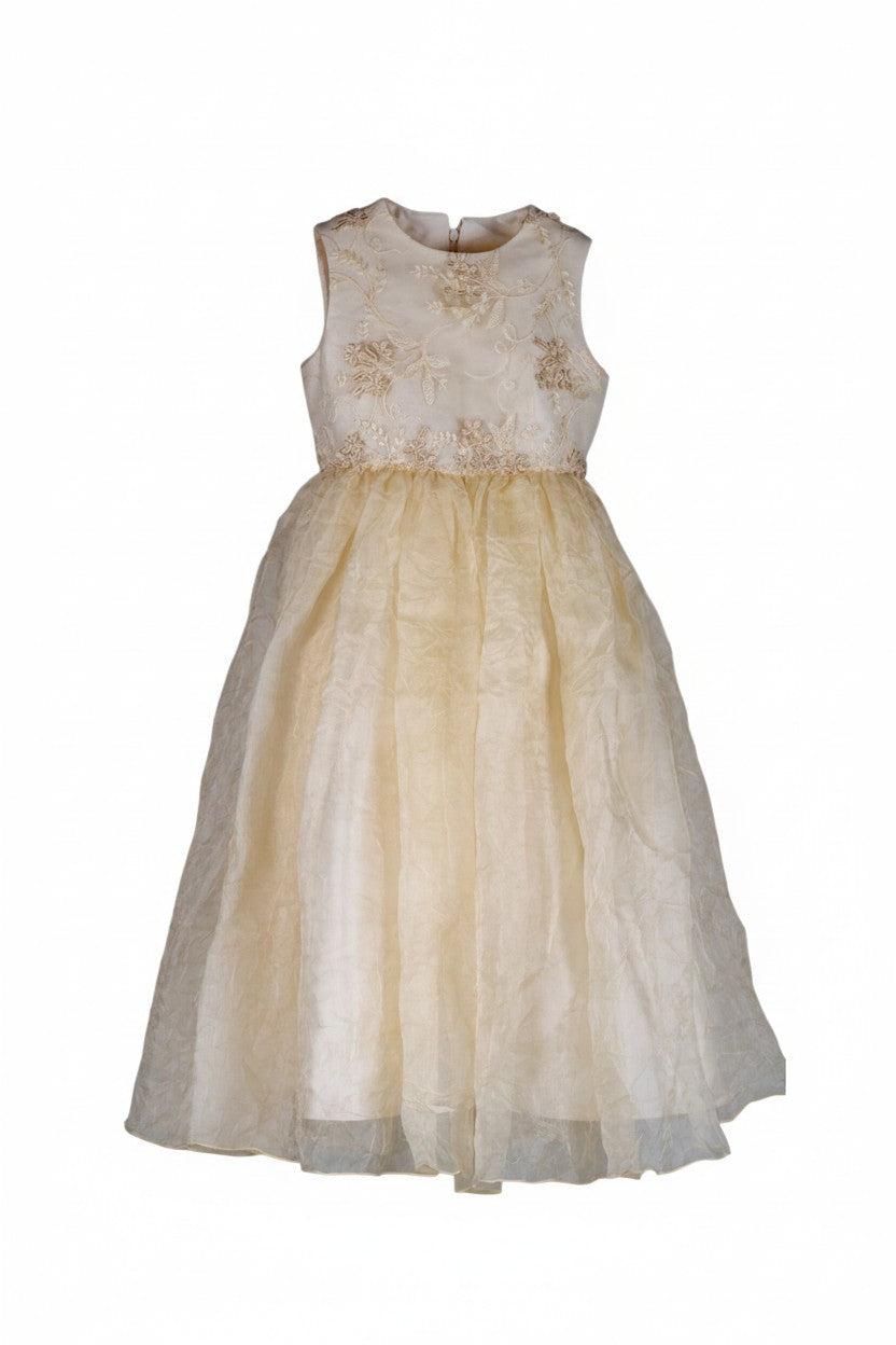 Silk party dress with a fluffy skirt for children