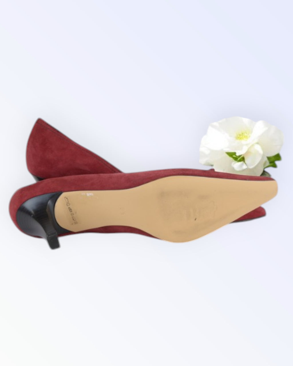 Peter Kaiser tumepunased kingad