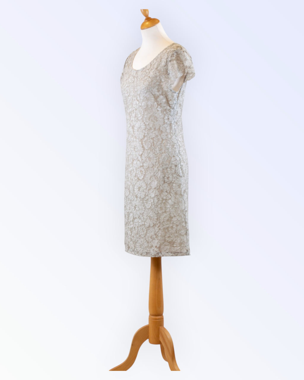 Azay Collection light gray lace dress