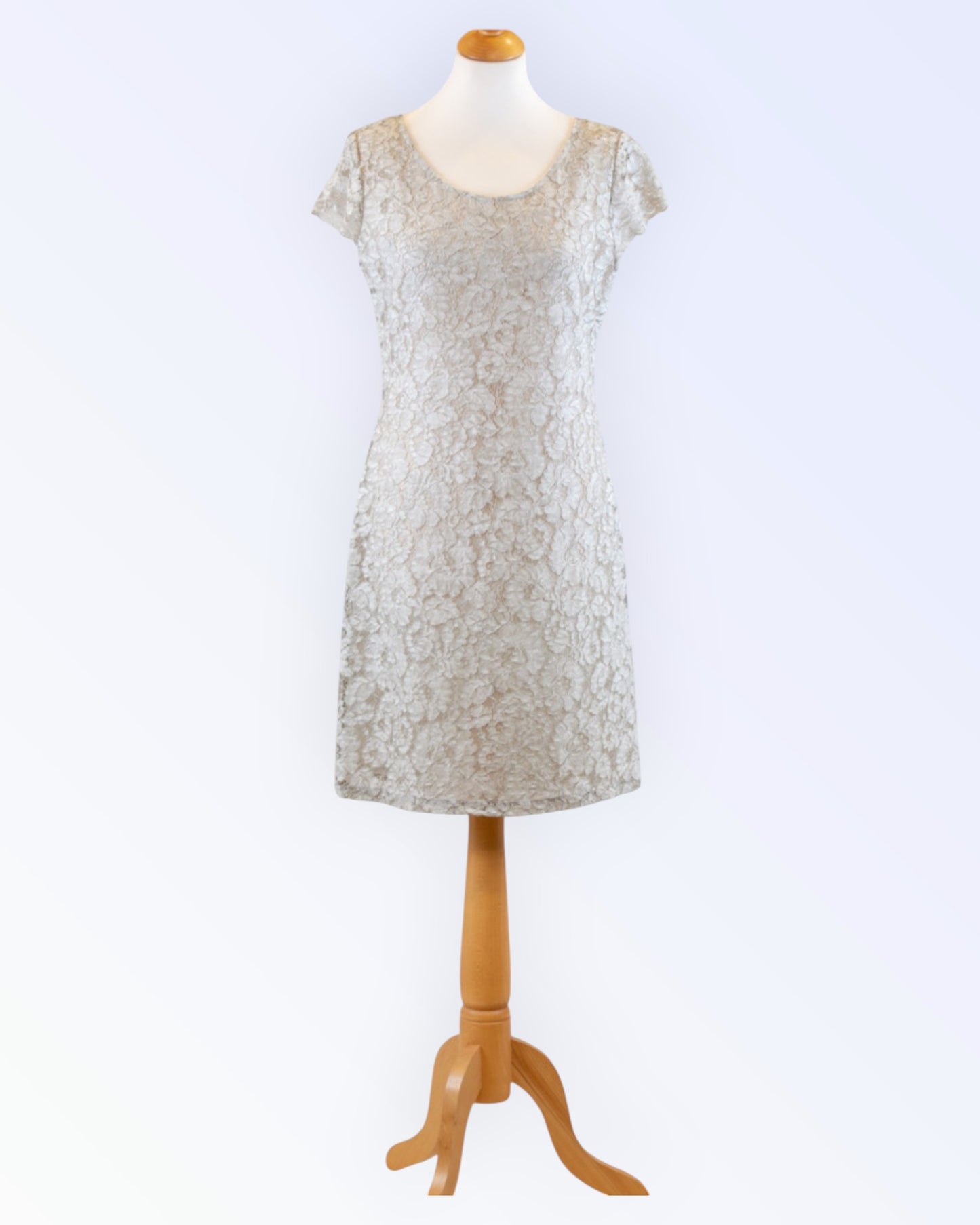 Azay Collection light gray lace dress