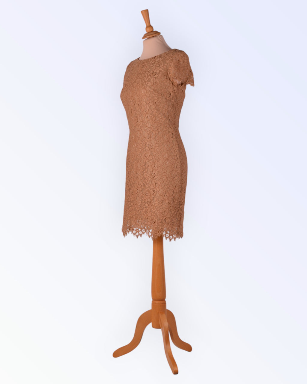 Short-sleeved lace dress