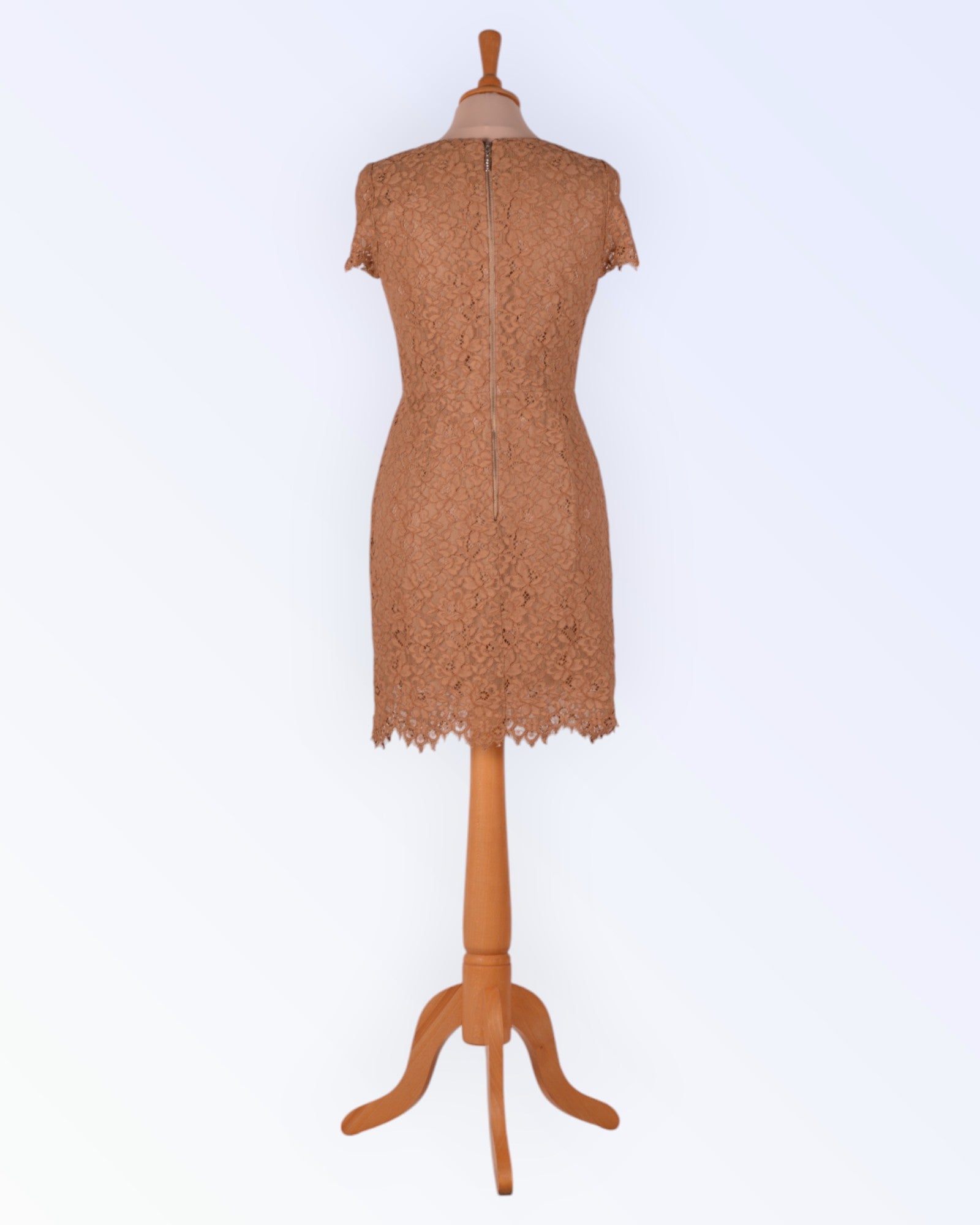 Short-sleeved lace dress