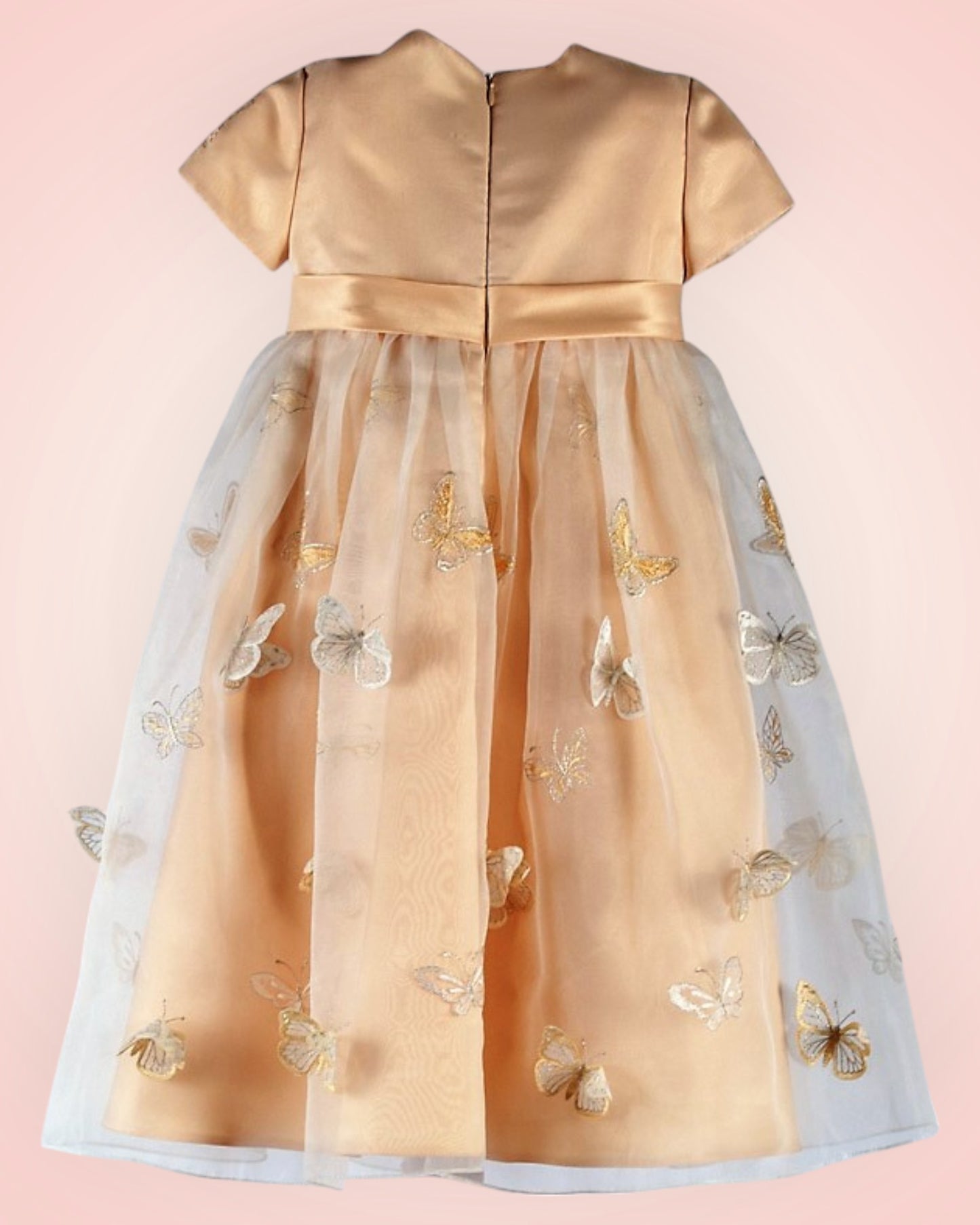 Festive children's dress with a fluffy skirt