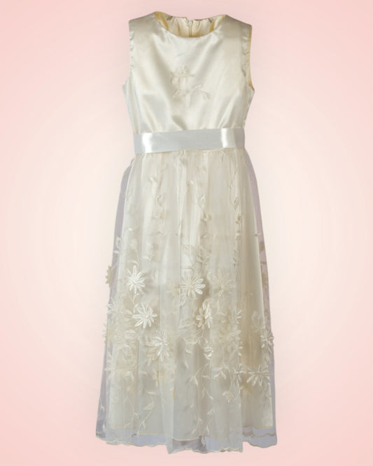 Children's party dress