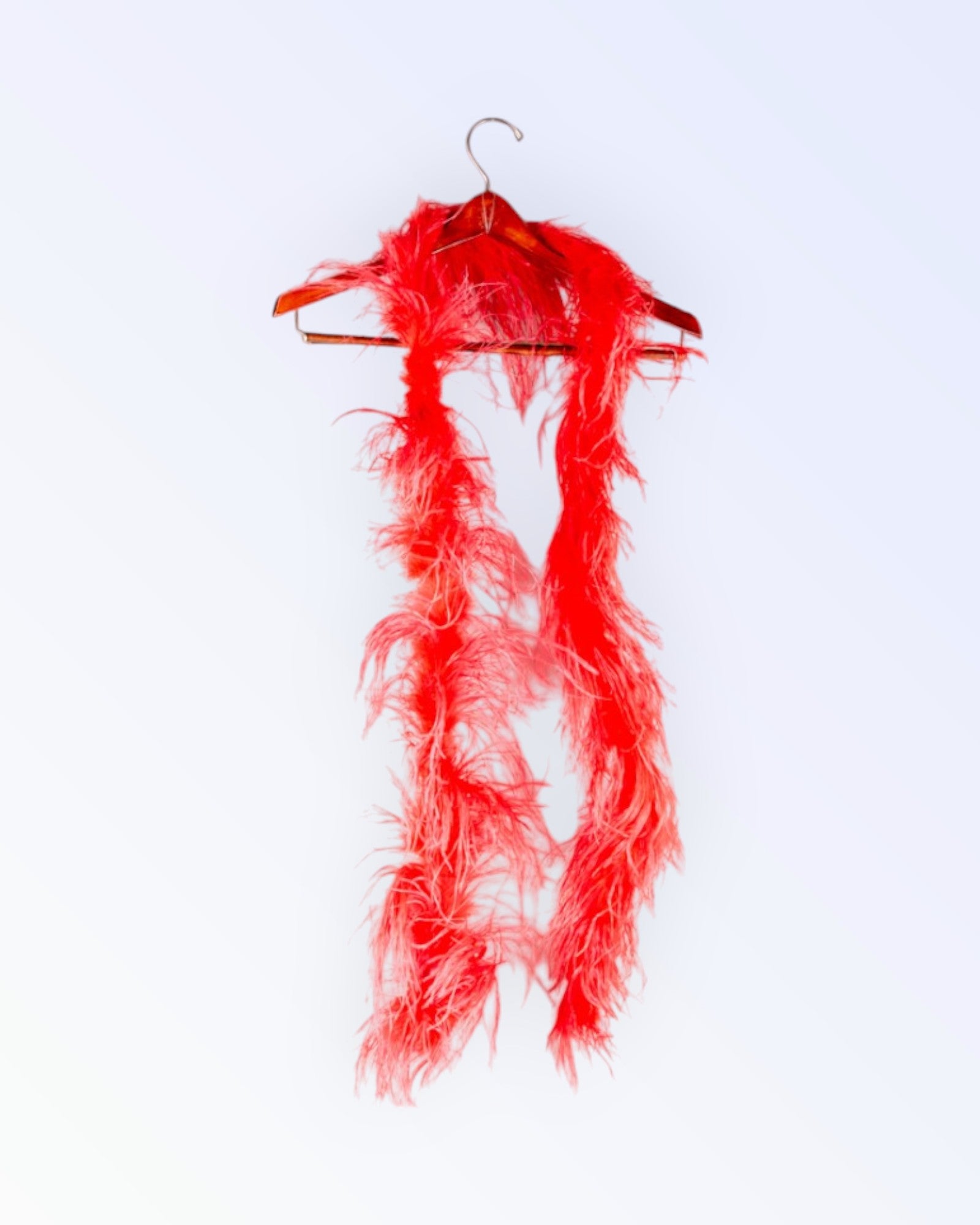 Punastest sulgedest suleboa