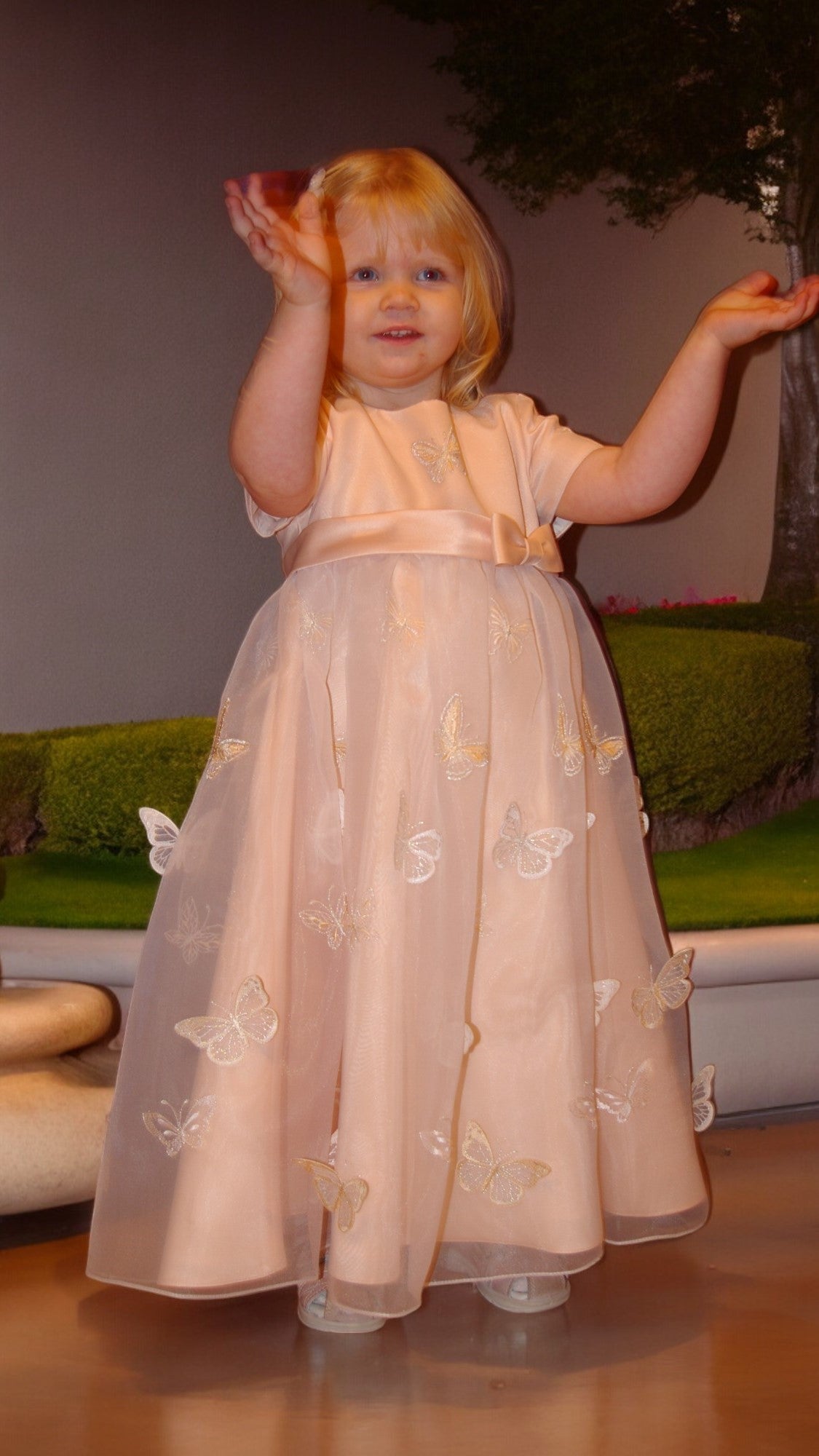 Festive children's dress with a fluffy skirt