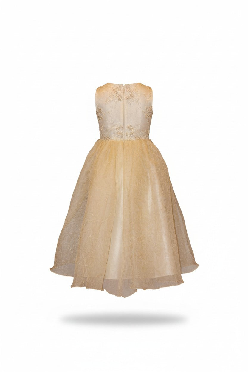 Silk party dress with a fluffy skirt for children