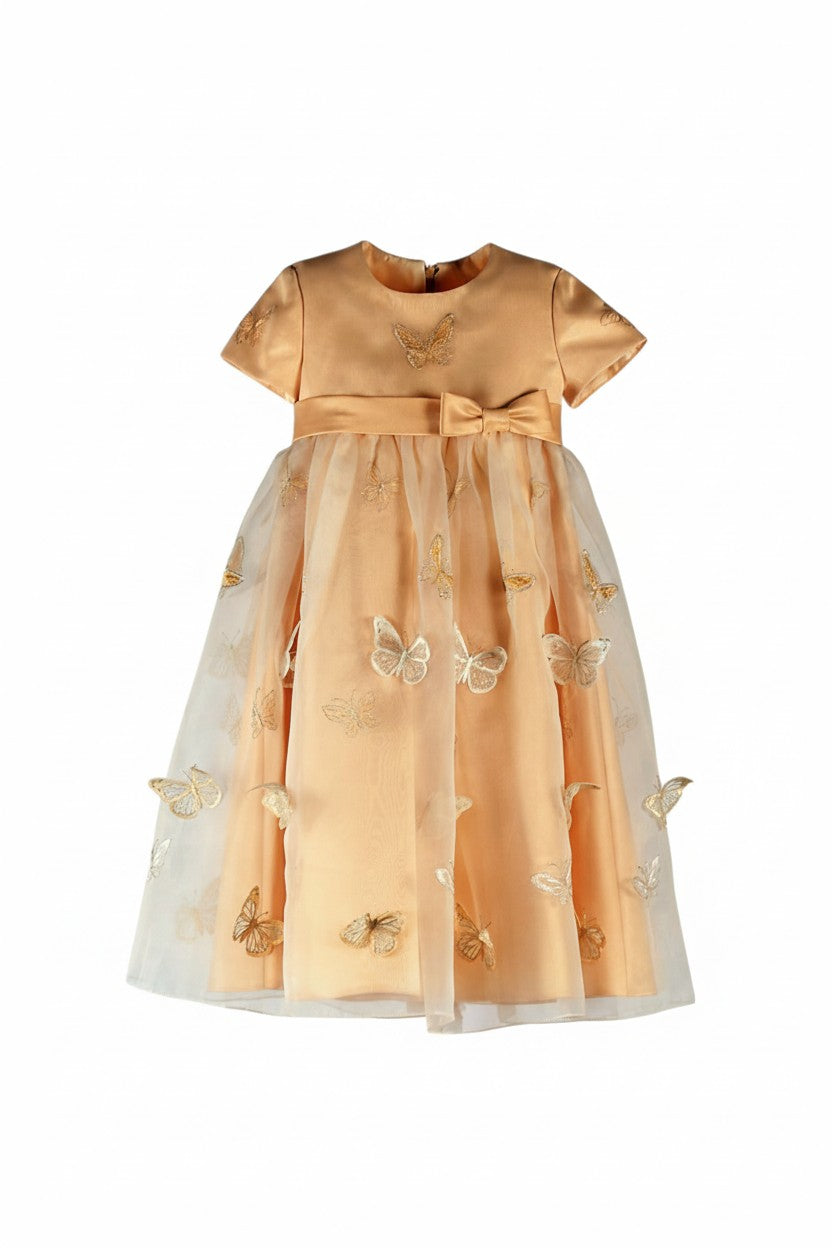 Festive children's dress with a fluffy skirt